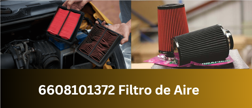 6608101372 Filtro de Aire