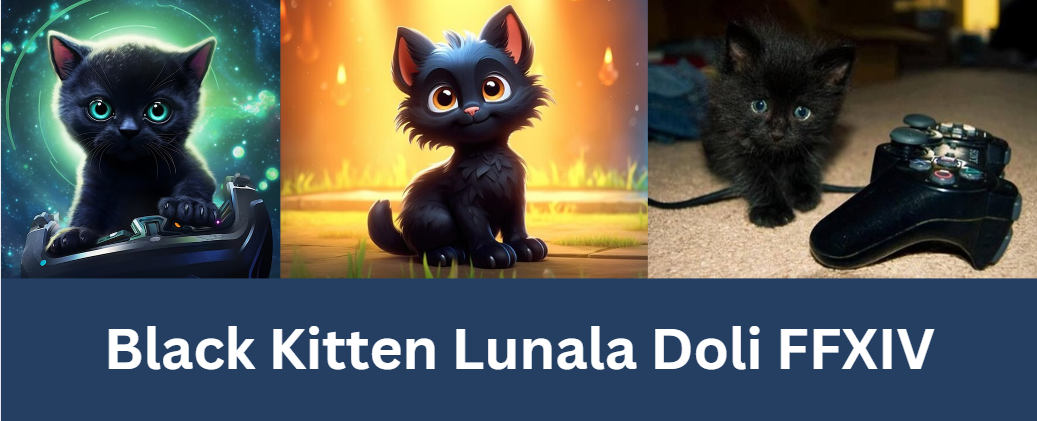 Black Kitten Lunala Doli FFXIV