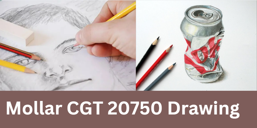 Mollar CGT 20750 Drawing