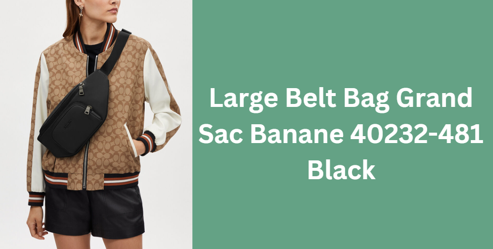 Large Belt Bag Grand Sac Banane 40232-481 Black